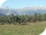 Gran Sasso d'Italia